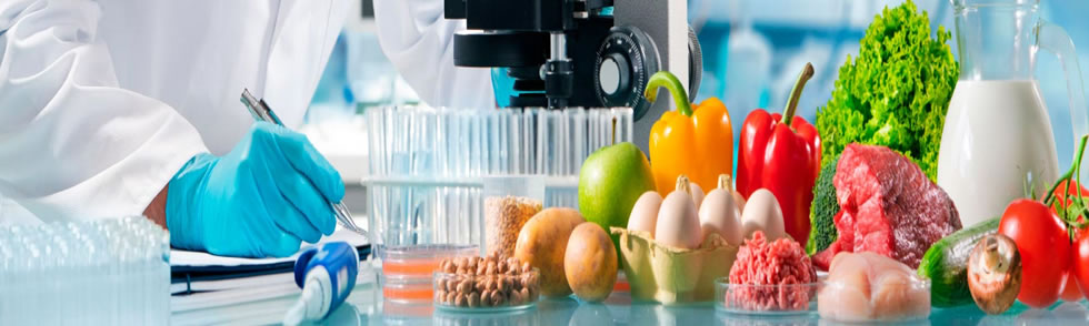 DIRECCIÓN TÉCNICA EN ESTABLECIMIENTOS DE ELABORACIÓN DE ALIMENTOS PARA CONSUMO HUMANO Y ANIMAL